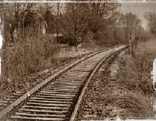 wohin-in-sepia_jurgen-niesen_pixelio.jpg